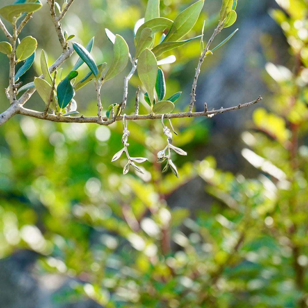 Boucles d’oreilles branche d’olivier Adrien Moniquet