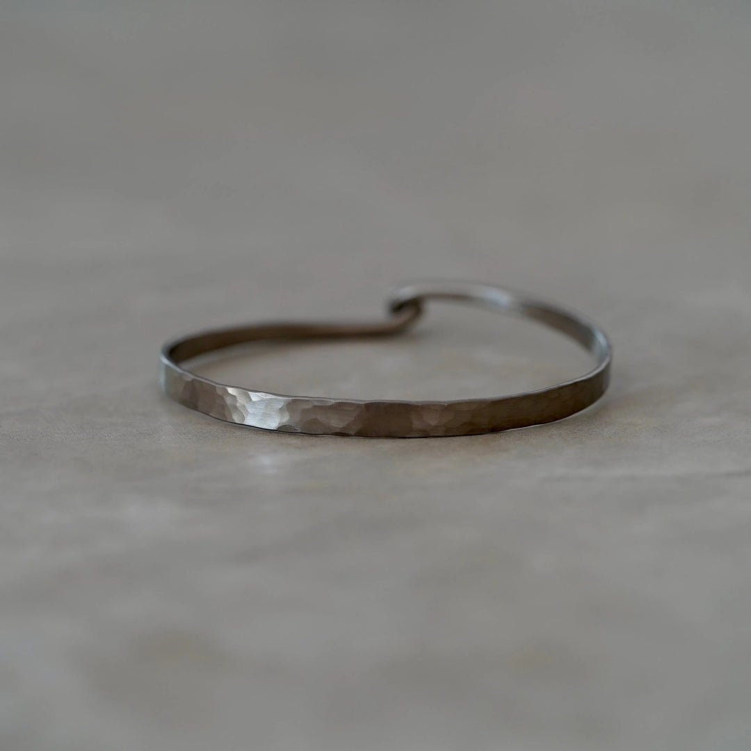 Bracelet Rodrigue Titane Adrien Moniquet