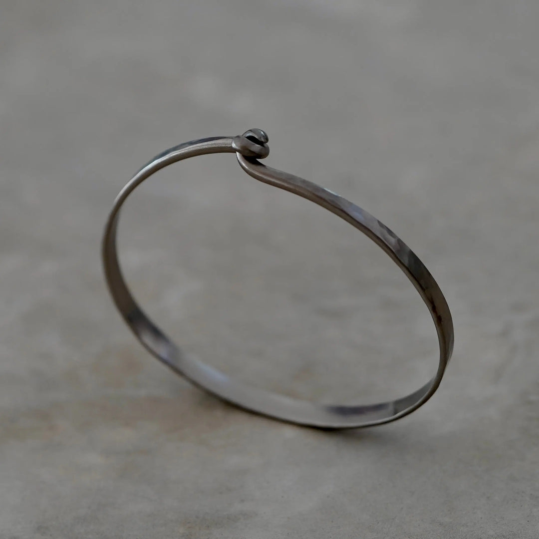 Bracelet Rodrigue Titane Adrien Moniquet