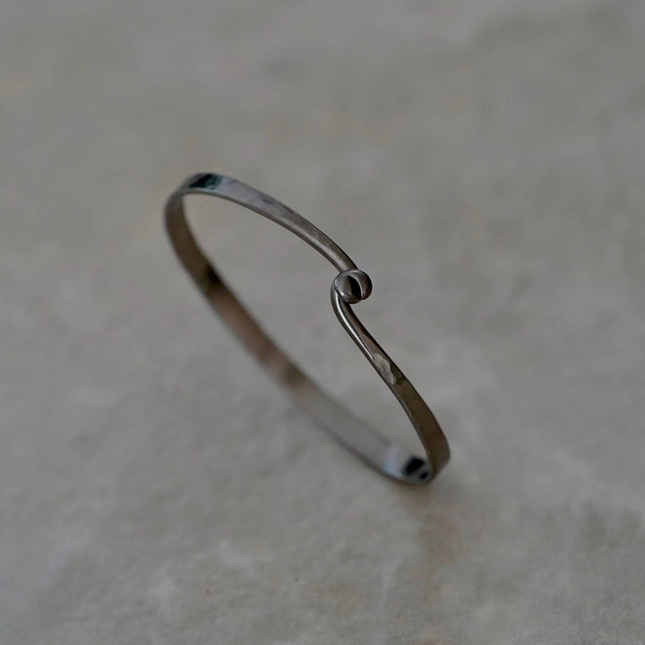 Bracelet Rodrigue Titane Adrien Moniquet