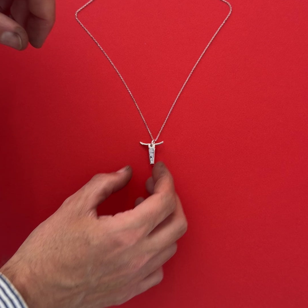 Pendentif taureau en argent